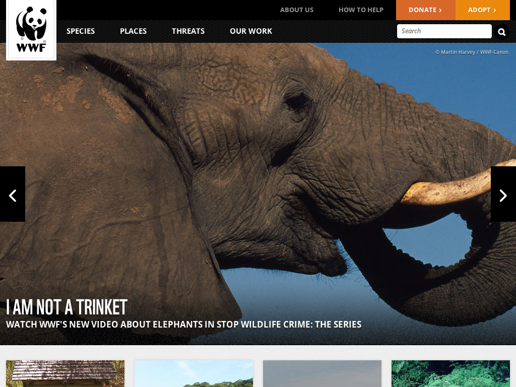 WWF – Endangered Species Conservation | World Wildlife Fund