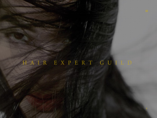 Hair Expert Guild – Going beyond “HAIR” expression.