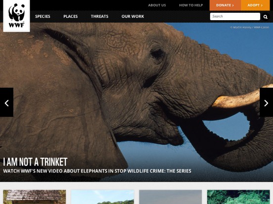 WWF - Endangered Species Conservation | World Wildlife Fund