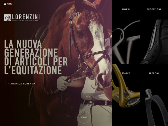 Articoli equitazione in titanio | Lorenzini Horse Equipment