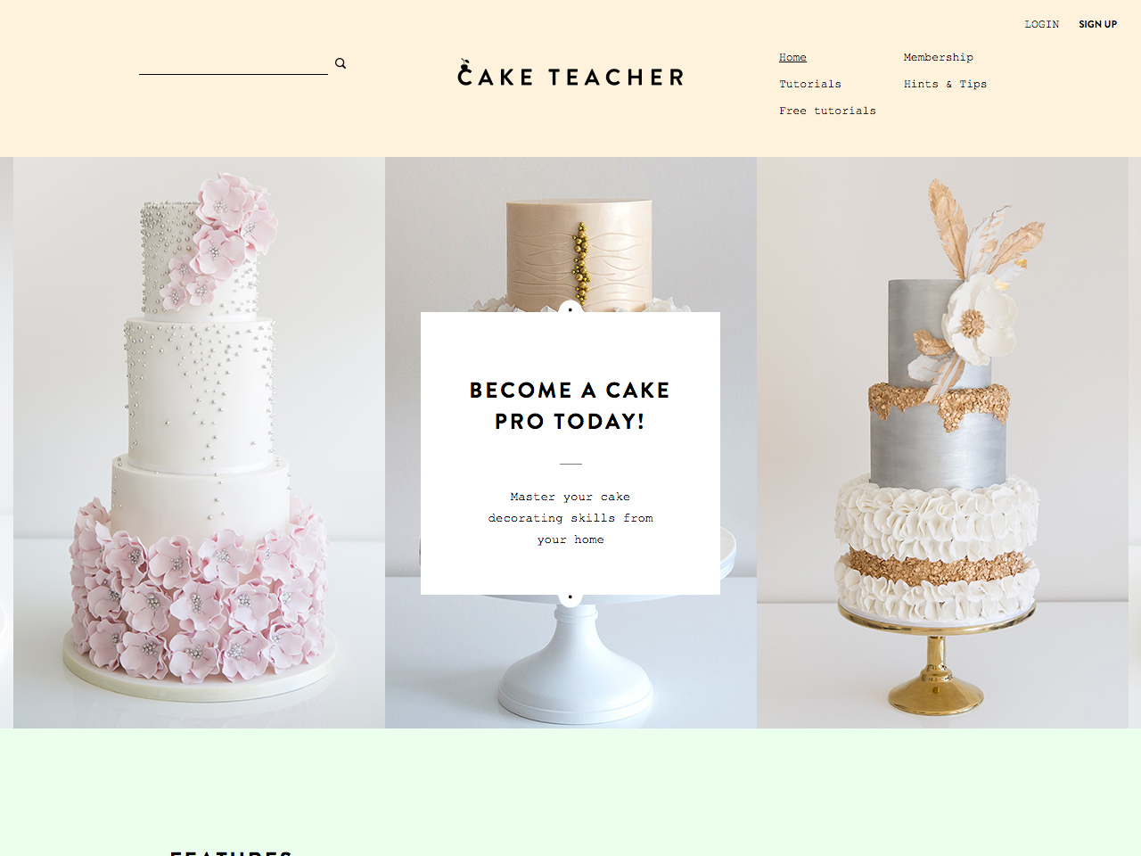 Cake Teacher – Cake Decorating Classes Online