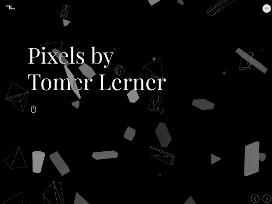 Pixels by Tomer Lerner