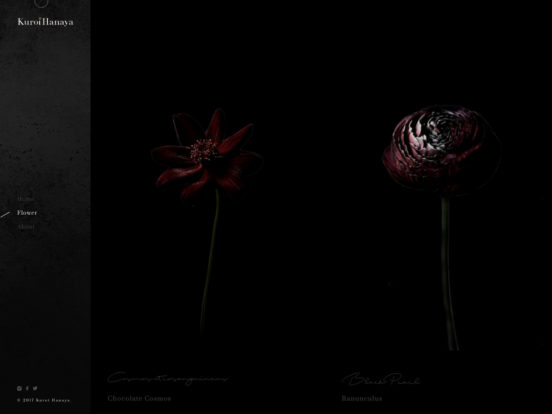 FLOWER | 黒い花屋 – kuroihanaya
