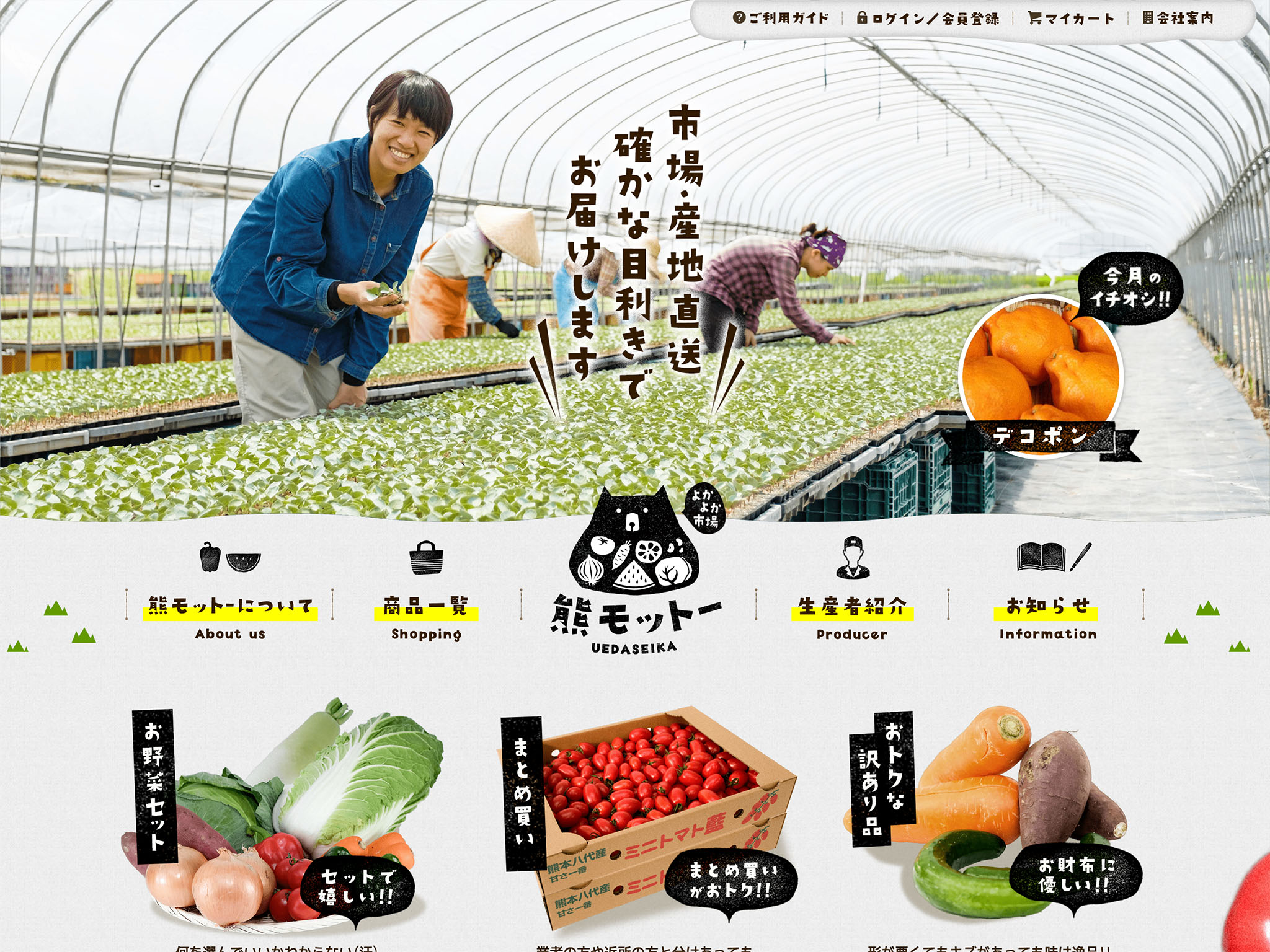 よかよか市場 熊モットー｜九州産・熊本産の旬で美味しいお野菜(青果)と果物をご提供します！